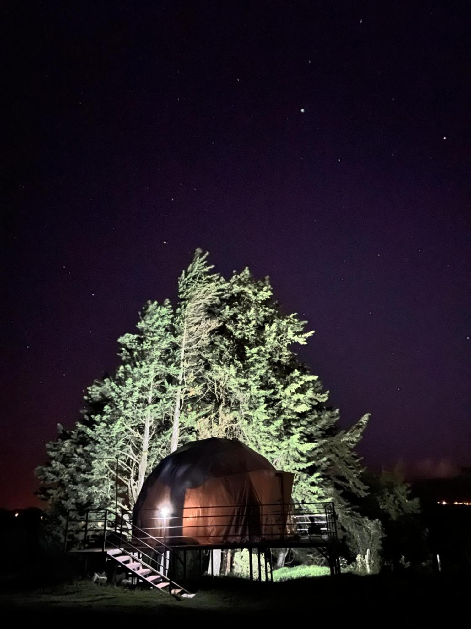 Green Noise Glamping Fraijanes Luaran gambar